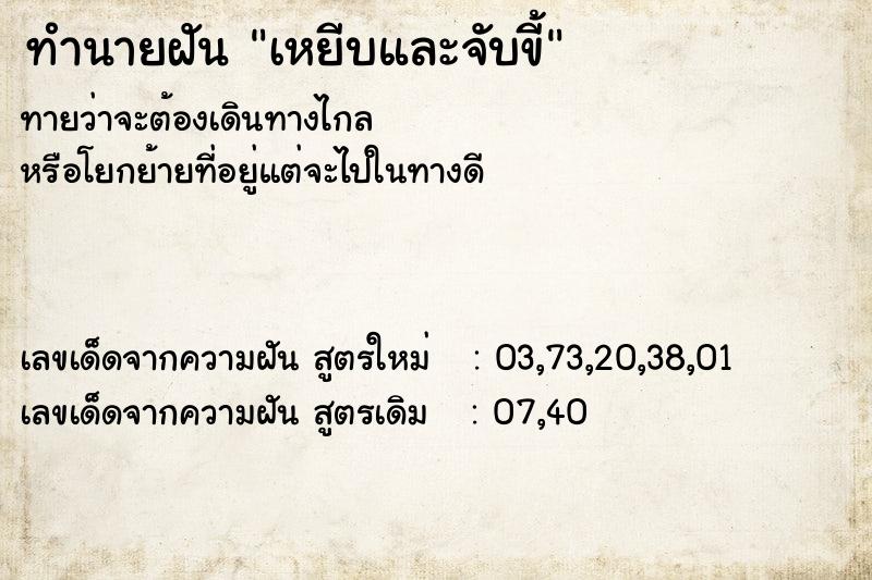 ทำนายฝันทำนายฝันเหยีบและจับขี้