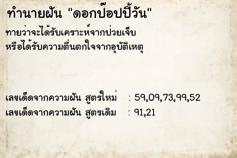 ทำนายฝันดอกป๊อปปี้วัน ทำนายฝันทำนายฝันดอกป๊อปปี้วัน