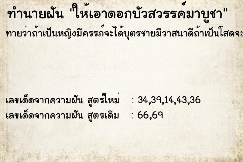 ทำนายฝันให้เอาดอกบัวสวรรค์มาบูชา ทำนายฝันทำนายฝันให้เอาดอกบัวสวรรค์มาบูชา