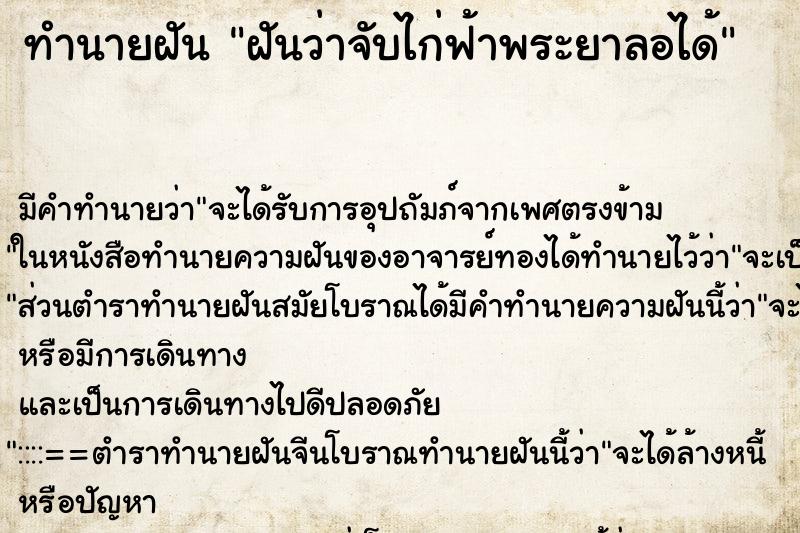 ทำนายฝัน ฝันว่าจับไก่ฟ้าพระยาลอได้ ตำราโบราณ แม่นที่สุดในโลก