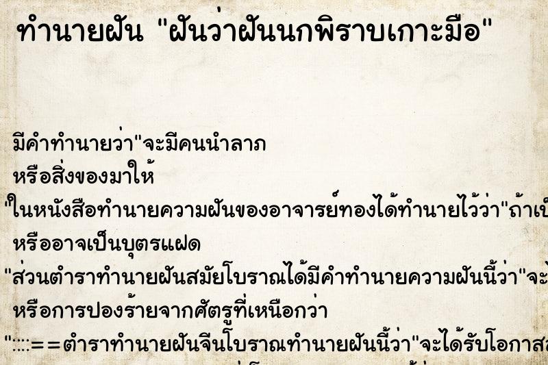 ทำนายฝันฝันว่าฝันนกพิราบเกาะมือ ทำนายฝันทำนายฝันฝันว่าฝันนกพิราบเกาะมือ