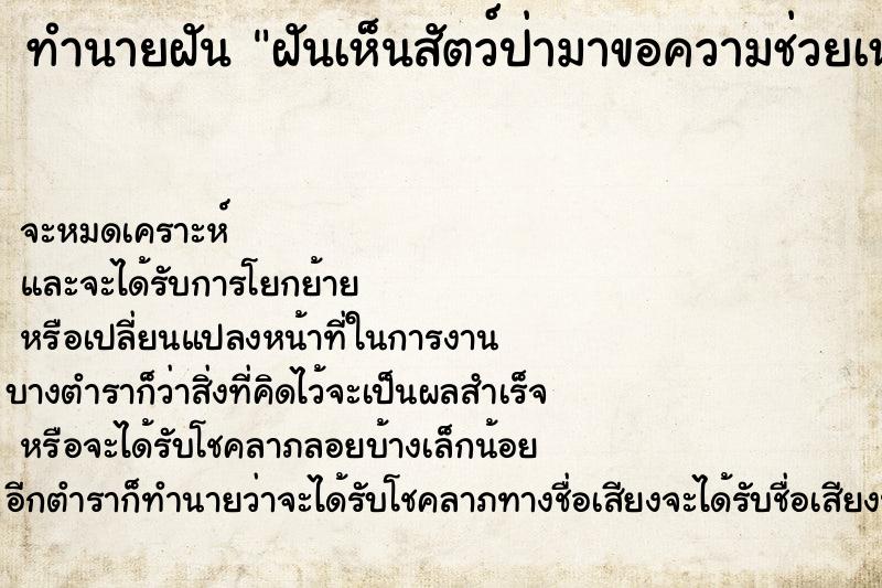 ทำนายฝันฝันเห็นสัตว์ป่ามาขอความช่วยเหลือ ทำนายฝันทำนายฝันฝันเห็นสัตว์ป่ามาขอความช่วยเหลือ