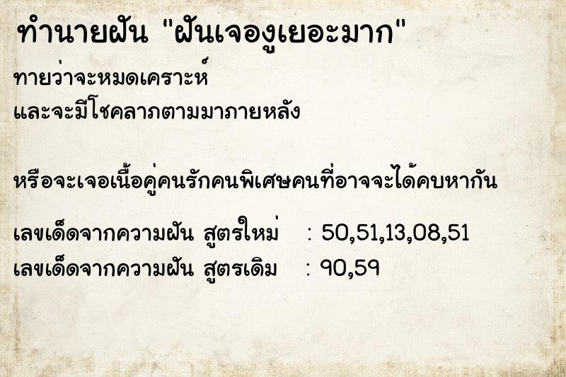 ทำนายฝันฝันเจองูเยอะมาก ทำนายฝันทำนายฝันฝันเจองูเยอะมาก