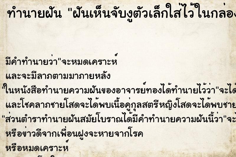 ทำนายฝัน ฝันเห็นจับงูตัวเล็กใส่ไว้ในกล่อง ทำนายฝัน ฝันเห็นจับงูตัวเล็กใส่ไว้ในกล่อง
