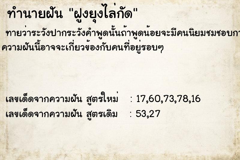 ทำนายฝันฝูงยุงไล่กัด ทำนายฝันทำนายฝันฝูงยุงไล่กัด