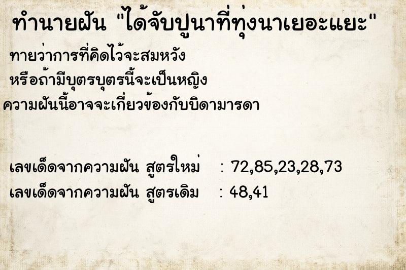 ทำนายฝันได้จับปูนาที่ทุ่งนาเยอะแยะ ทำนายฝันทำนายฝันได้จับปูนาที่ทุ่งนาเยอะแยะ