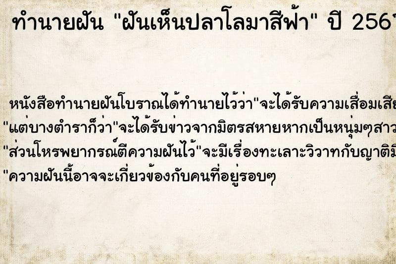 ทำนายฝัน ฝันเห็นปลาโลมาสีฟ้า ทำนายฝัน ฝันเห็นปลาโลมาสีฟ้า