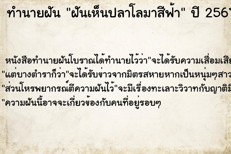 ทำนายฝัน ฝันเห็นปลาโลมาสีฟ้า ตำราโบราณ แม่นที่สุดในโลก