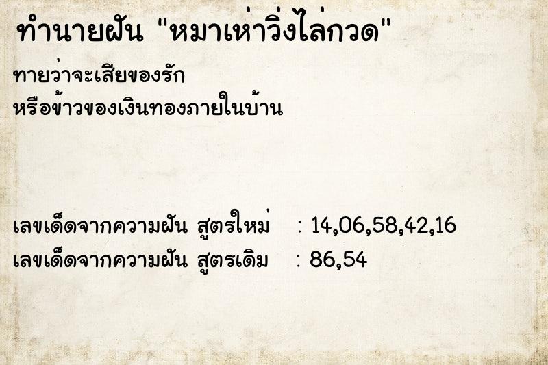 ทำนายฝันหมาเห่าวิ่งไล่กวด ทำนายฝันทำนายฝันหมาเห่าวิ่งไล่กวด