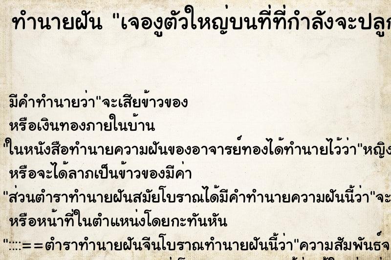 ทำนายฝันทำนายฝันเจองูตัวใหญ่บนที่ที่กำลังจะปลูกบ้าน