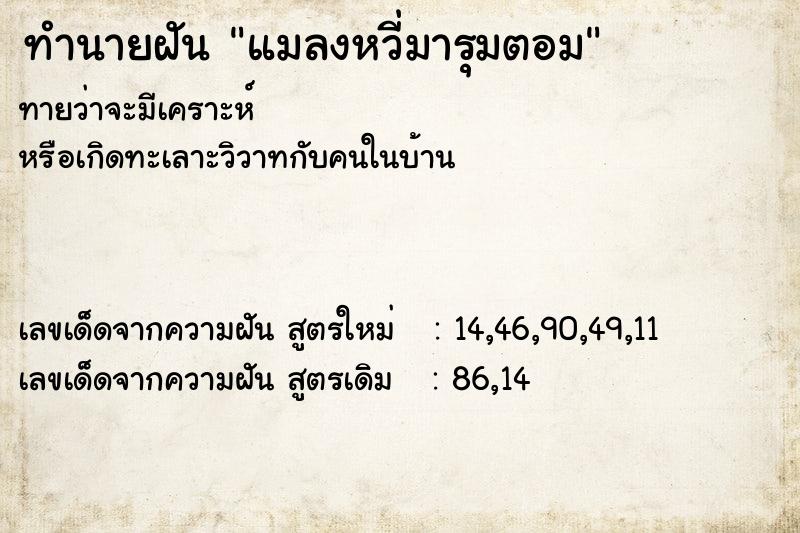 ทำนายฝัน แมลงหวี่มารุมตอม ตำราโบราณ แม่นที่สุดในโลก