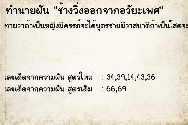 ทำนายฝันทำนายฝันช้างวิ่งออกจากอวัยะเพศ