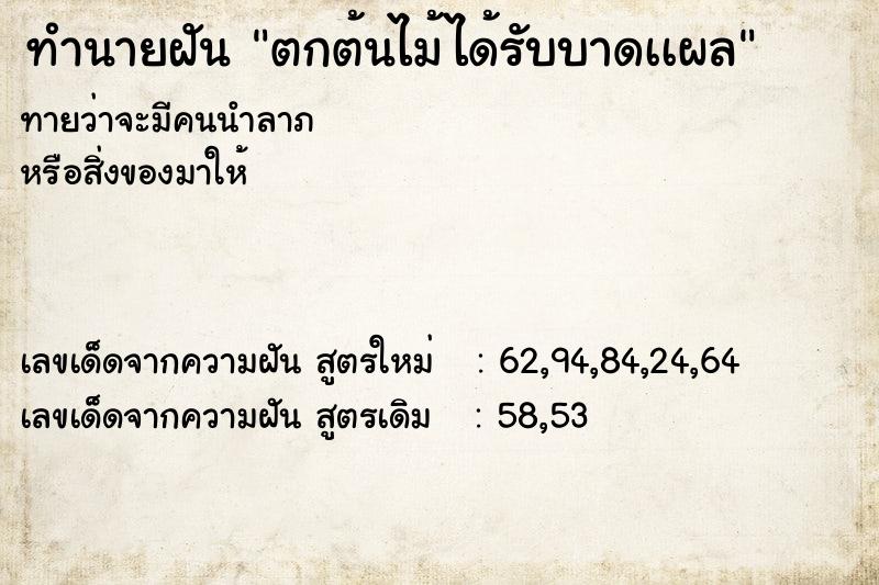 ทำนายฝัน ตกต้นไม้ได้รับบาดเเผล