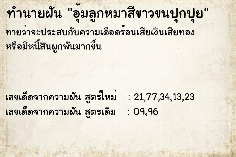 ทำนายฝันทำนายฝันอุ้มลูกหมาสีขาวขนปุกปุย