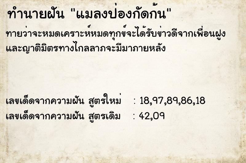 ทำนายฝันแมลงป่องกัดก้น ทำนายฝันทำนายฝันแมลงป่องกัดก้น