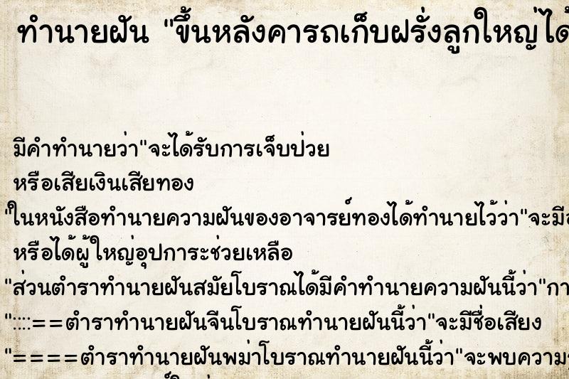 ทำนายฝันขึ้นหลังคารถเก็บฝรั่งลูกใหญ่ได้หลายลูก ทำนายฝันทำนายฝันขึ้นหลังคารถเก็บฝรั่งลูกใหญ่ได้หลายลูก