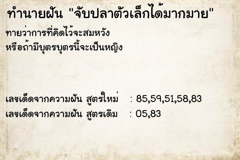 ทำนายฝันจับปลาตัวเล็กได้มากมาย ทำนายฝันทำนายฝันจับปลาตัวเล็กได้มากมาย