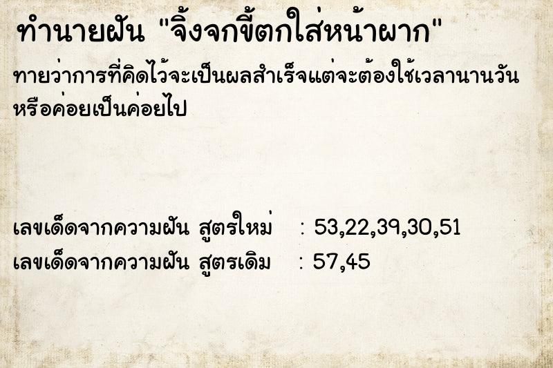 ทำนายฝันทำนายฝันจิ้งจกขี้ตกใส่หน้าผาก
