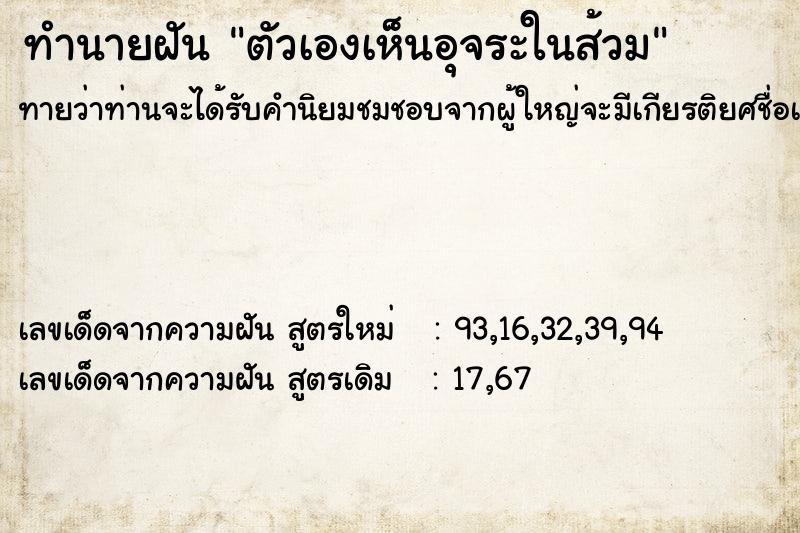 ทำนายฝันตัวเองเห็นอุจระในส้วม ทำนายฝันทำนายฝันตัวเองเห็นอุจระในส้วม