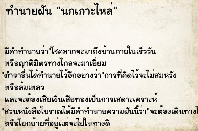 ทำนายฝัน นกเกาะไหล่ ทำนายฝัน นกเกาะไหล่