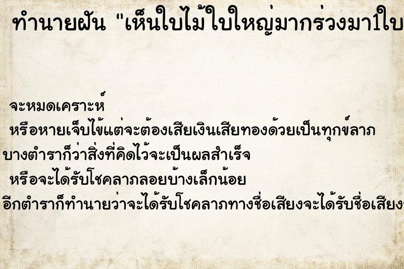 ทำนายฝันเห็นใบไม้ใบใหญ่มากร่วงมา1ใบ ทำนายฝันทำนายฝันเห็นใบไม้ใบใหญ่มากร่วงมา1ใบ