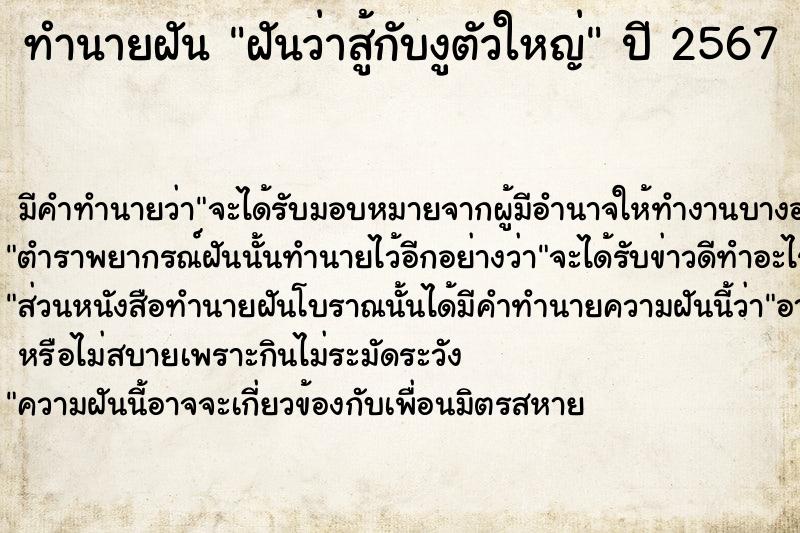 ทำนายฝัน ฝันว่าสู้กับงูตัวใหญ่ ทำนายฝัน ฝันว่าสู้กับงูตัวใหญ่