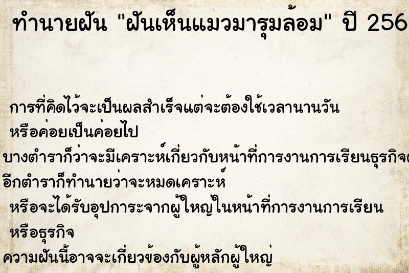 ทำนายฝันฝันเห็นแมวมารุมล้อม ทำนายฝันทำนายฝันฝันเห็นแมวมารุมล้อม