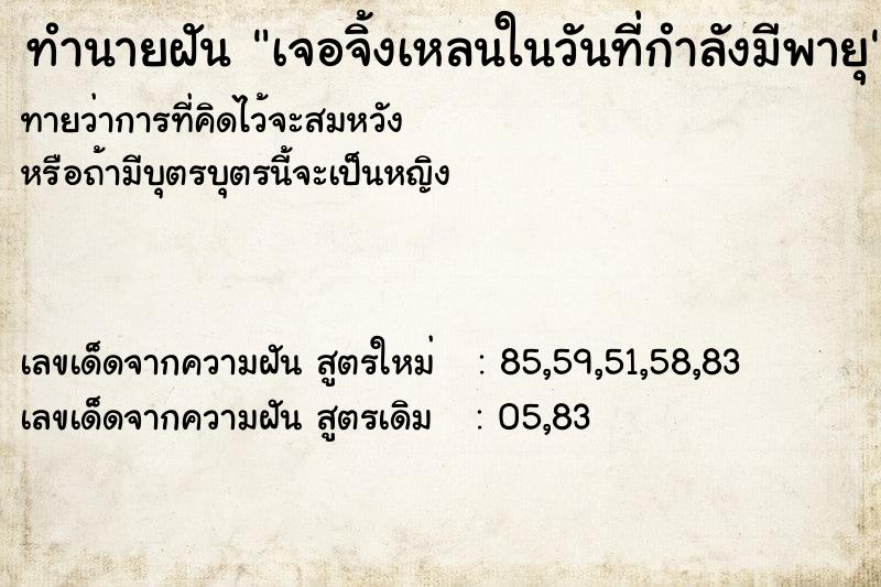 ทำนายฝันเจอจิ้งเหลนในวันที่กำลังมีพายุ ทำนายฝันทำนายฝันเจอจิ้งเหลนในวันที่กำลังมีพายุ