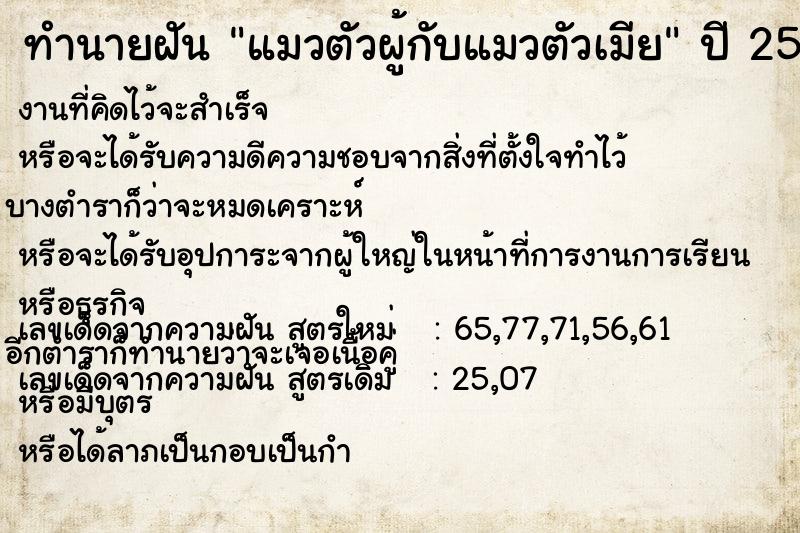 ทำนายฝัน แมวตัวผู้กับแมวตัวเมีย ทำนายฝัน แมวตัวผู้กับแมวตัวเมีย