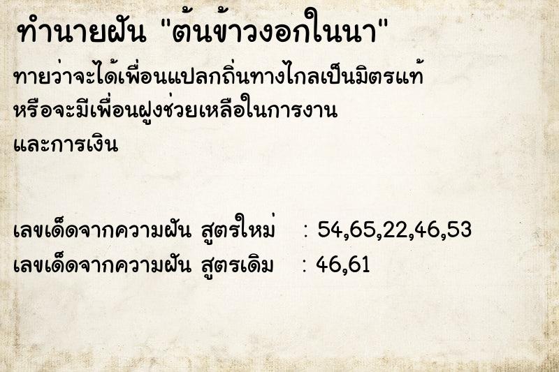 ทำนายฝันต้นข้าวงอกในนา ทำนายฝันทำนายฝันต้นข้าวงอกในนา