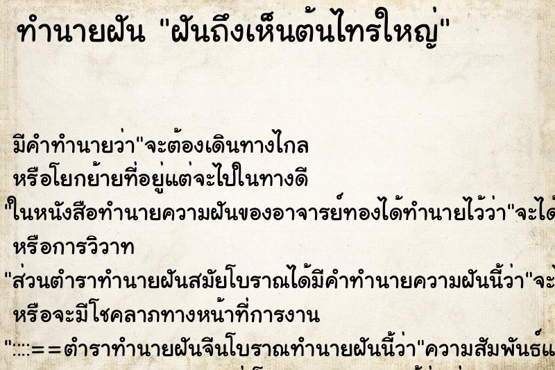 ทำนายฝัน ฝันถึงเห็นต้นไทรใหญ่