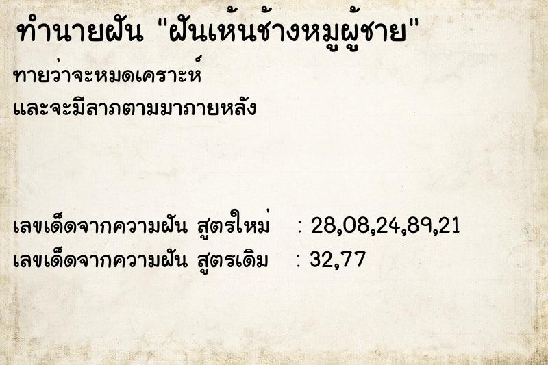 ทำนายฝันทำนายฝันฝันเห้นช้างหมูผู้ชาย