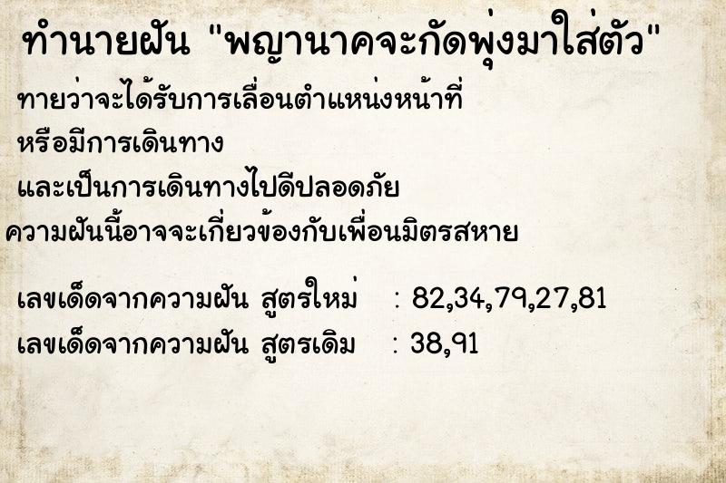 ทำนายฝันพญานาคจะกัดพุ่งมาใส่ตัว ทำนายฝันทำนายฝันพญานาคจะกัดพุ่งมาใส่ตัว