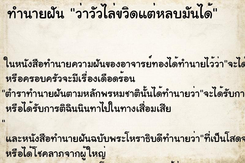 ทำนายฝัน ว่าวัวไล่ขวิดแต่หลบมันได้ ทำนายฝัน ว่าวัวไล่ขวิดแต่หลบมันได้