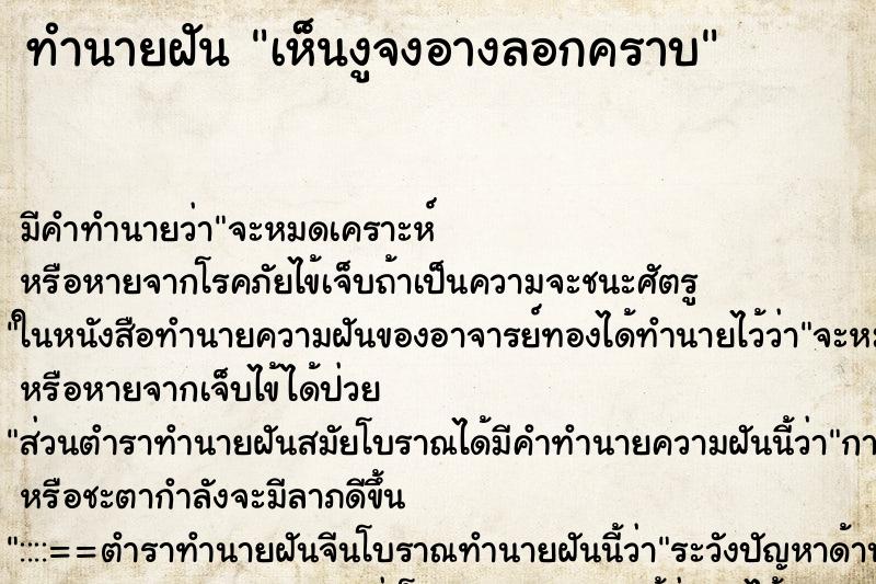 ทำนายฝัน เห็นงูจงอางลอกคราบ ทำนายฝัน เห็นงูจงอางลอกคราบ