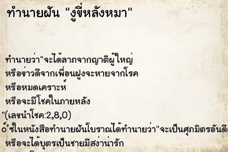 ทำนายฝัน งูขี่หลังหมา