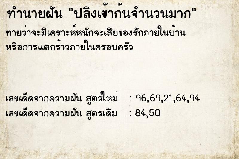 ทำนายฝันปลิงเข้าก้นจำนวนมาก ทำนายฝันทำนายฝันปลิงเข้าก้นจำนวนมาก