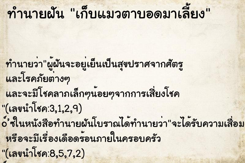 ทำนายฝันเก็บแมวตาบอดมาเลี้ยง ทำนายฝันทำนายฝันเก็บแมวตาบอดมาเลี้ยง