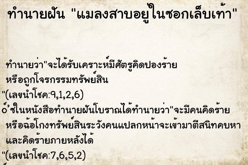 ทำนายฝันแมลงสาบอยู่ในซอกเล็บเท้า ทำนายฝันทำนายฝันแมลงสาบอยู่ในซอกเล็บเท้า