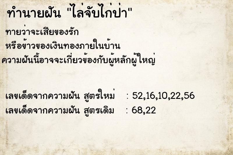 ทำนายฝันไล่จับไก่ป่า ทำนายฝันทำนายฝันไล่จับไก่ป่า