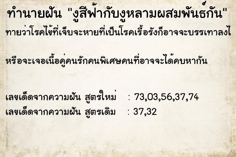 ทำนายฝันงูสีฟ้ากับงูหลามผสมพันธ์กัน ทำนายฝันทำนายฝันงูสีฟ้ากับงูหลามผสมพันธ์กัน