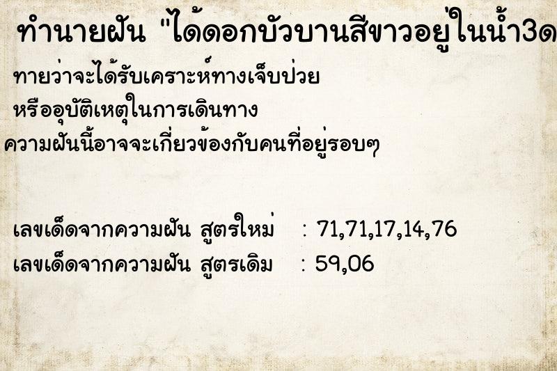 ทำนายฝันได้ดอกบัวบานสีขาวอยู่ในน้ำ3ดอก ทำนายฝันทำนายฝันได้ดอกบัวบานสีขาวอยู่ในน้ำ3ดอก