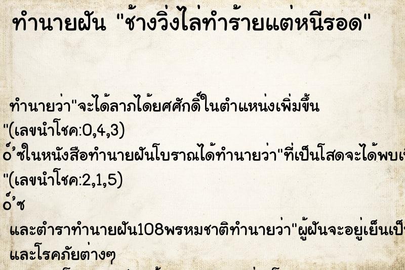 ทำนายฝัน ช้างวิ่งไล่ทำร้ายแต่หนีรอด