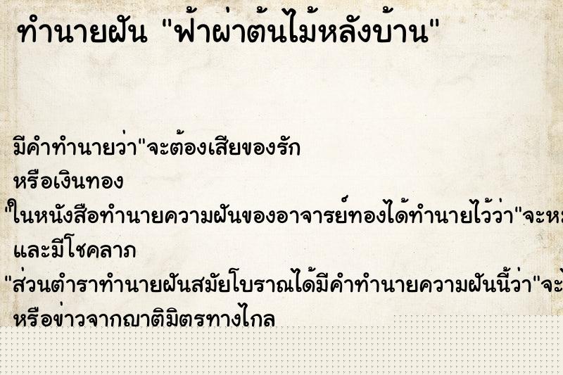 ทำนายฝันฟ้าผ่าต้นไม้หลังบ้าน ทำนายฝันทำนายฝันฟ้าผ่าต้นไม้หลังบ้าน