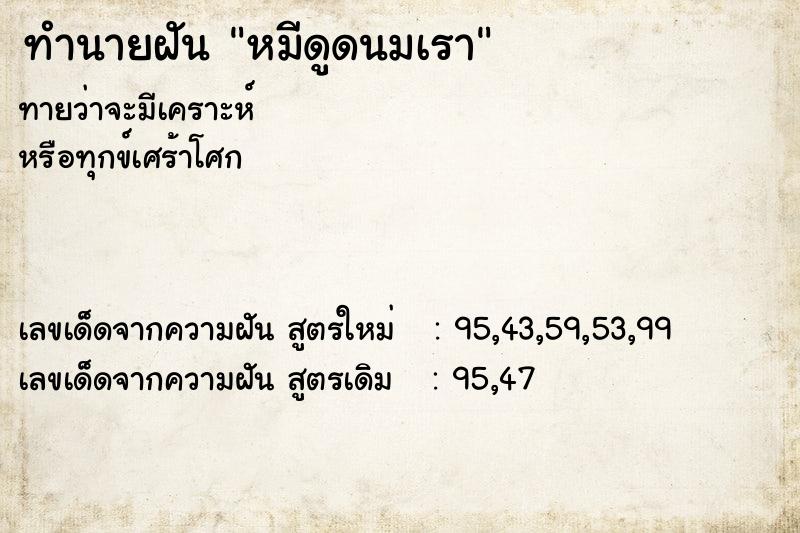 ทำนายฝันหมีดูดนมเรา ทำนายฝันทำนายฝันหมีดูดนมเรา