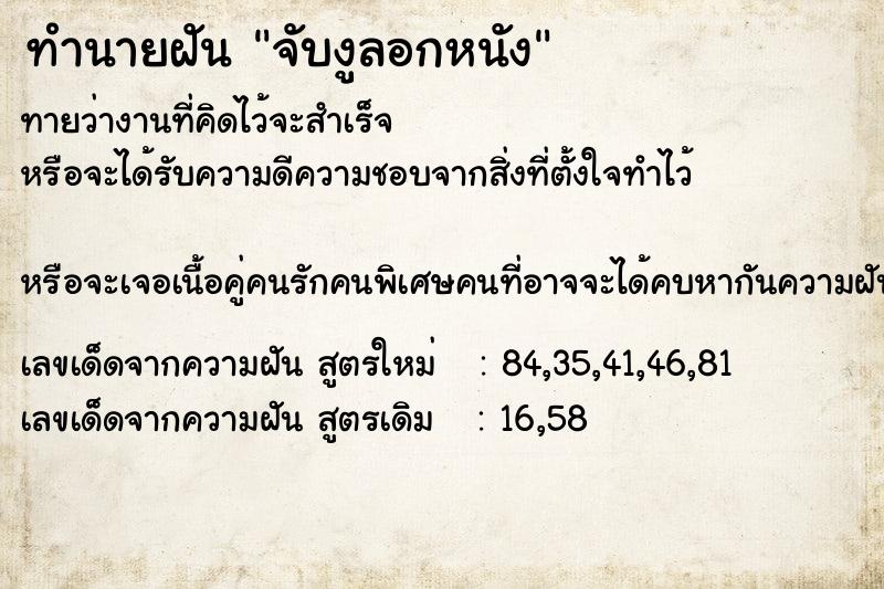 ทำนายฝันทำนายฝันจับงูลอกหนัง
