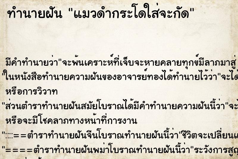 ทำนายฝัน แมวดำกระโดใส่จะกัด ตำราโบราณ แม่นที่สุดในโลก