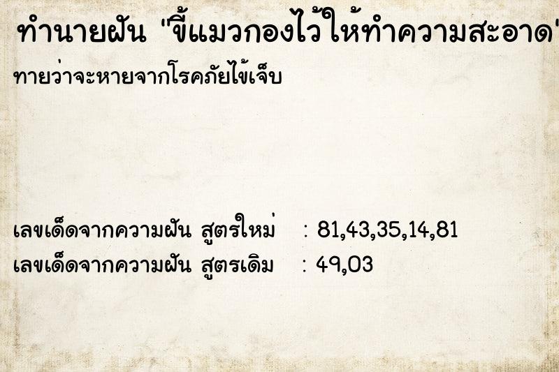 ทำนายฝันขี้แมวกองไว้ให้ทำความสะอาด ทำนายฝันทำนายฝันขี้แมวกองไว้ให้ทำความสะอาด