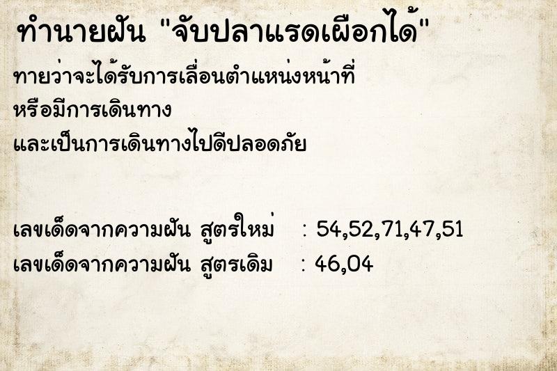 ทำนายฝันจับปลาแรดเผือกได้ ทำนายฝันทำนายฝันจับปลาแรดเผือกได้
