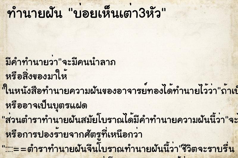 ทำนายฝันทำนายฝันบ่อยเห็นเต่า3หัว